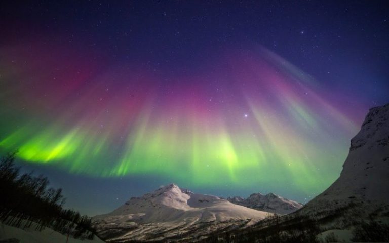 NORD-nordlyssafari-og-aurora-camp-i-tromso-1