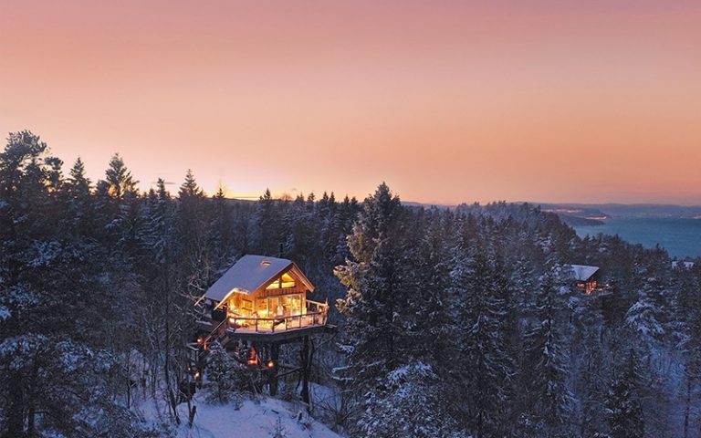 Tretopphytter ved Oslofjorden