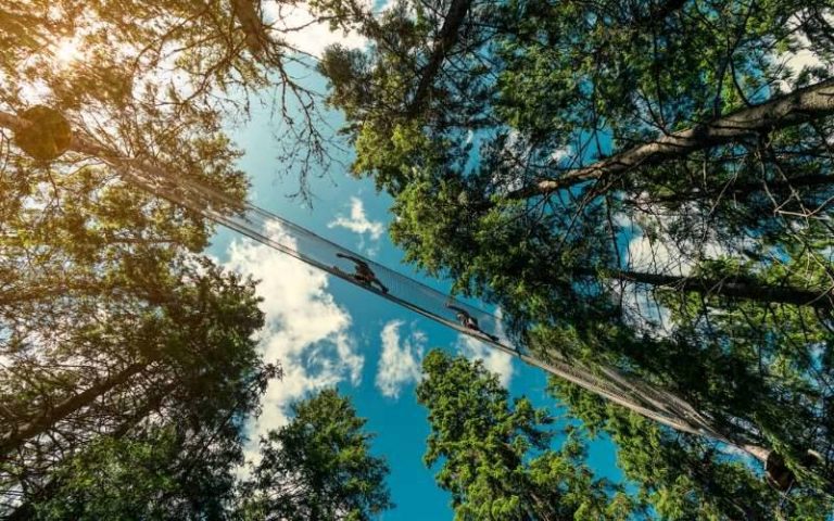 Klatring i Oslo Sommerpark