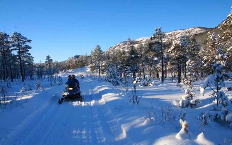 Snøscootersafari på Geilo